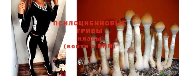 MESCALINE Алзамай